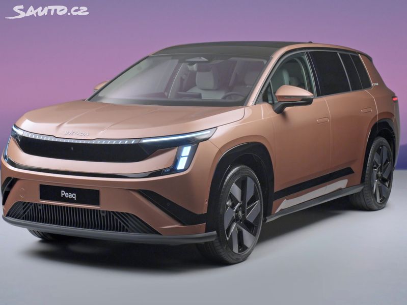 Škoda Peaq, Exclusive Selection 91
